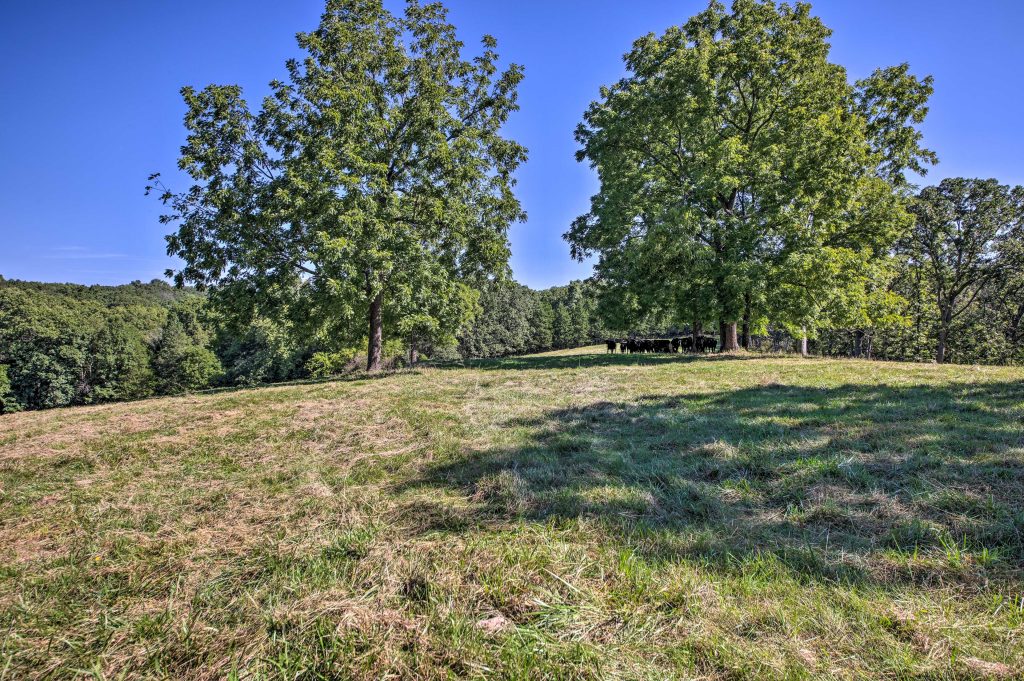Hidden Holler Farm, Blu Room Wellness Center Washington, MO